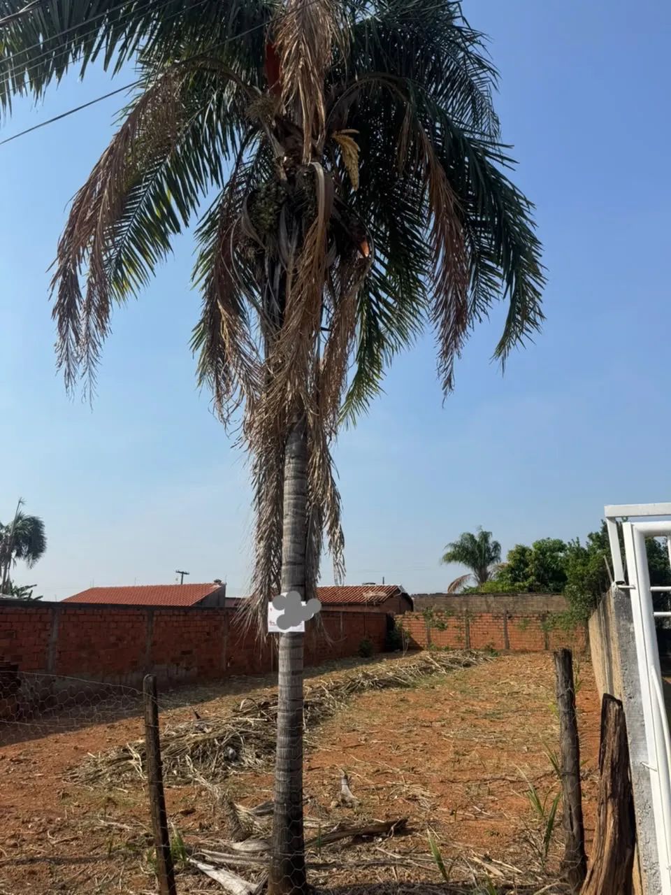 Lote na cidade de Iporá Go - Foto 3