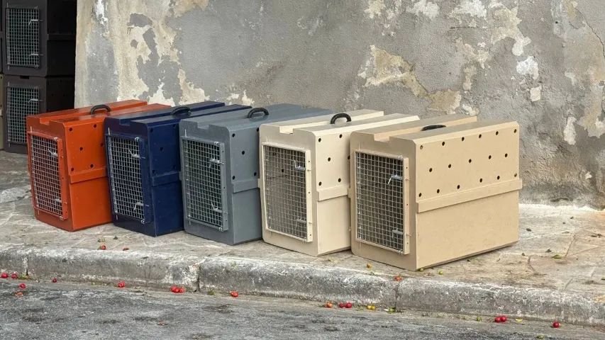 Caixa Kennel de Transporte Pet Cães Porte Médio - Foto 4