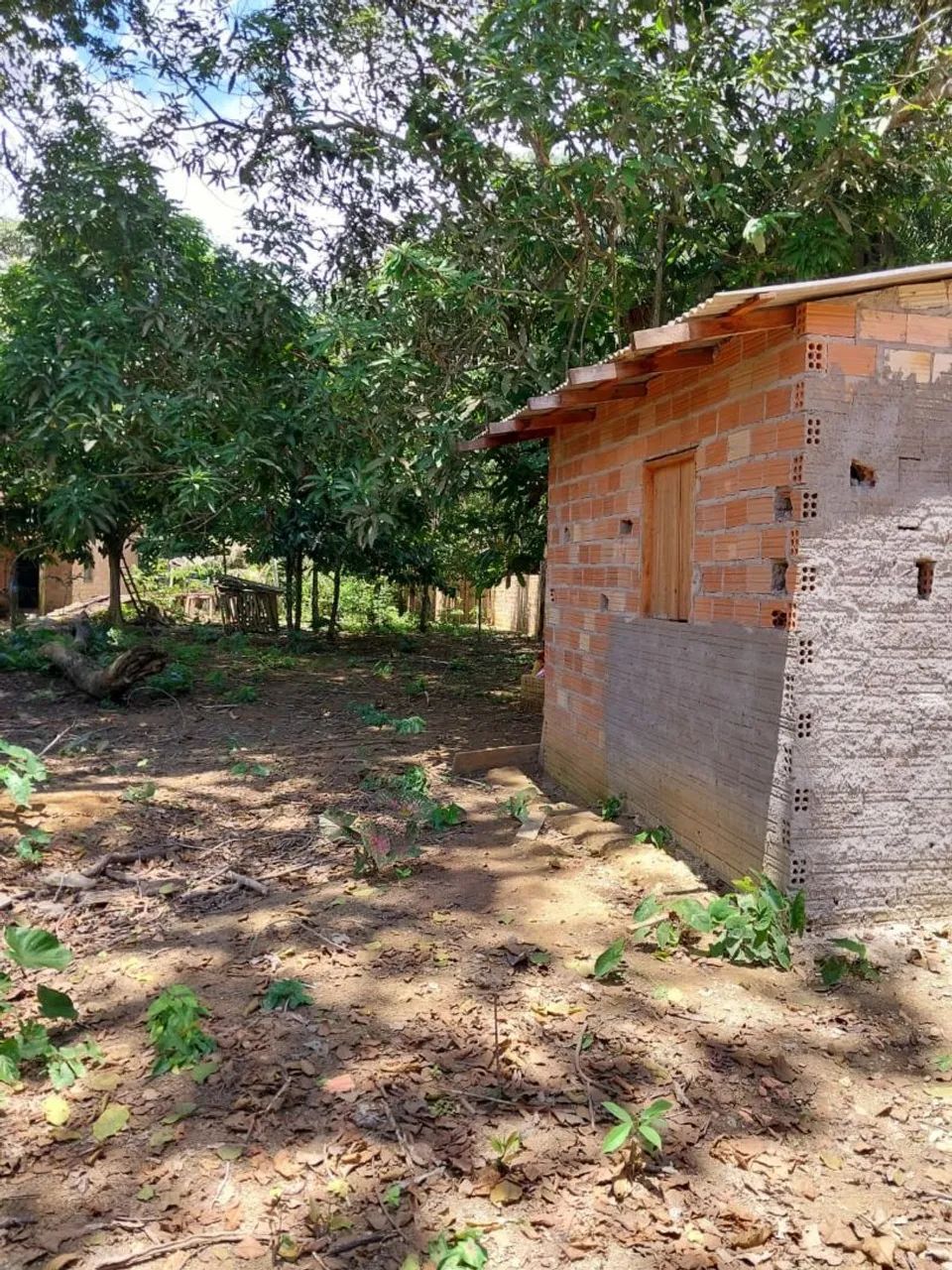 Terreno a venda em Belterra - Foto 4