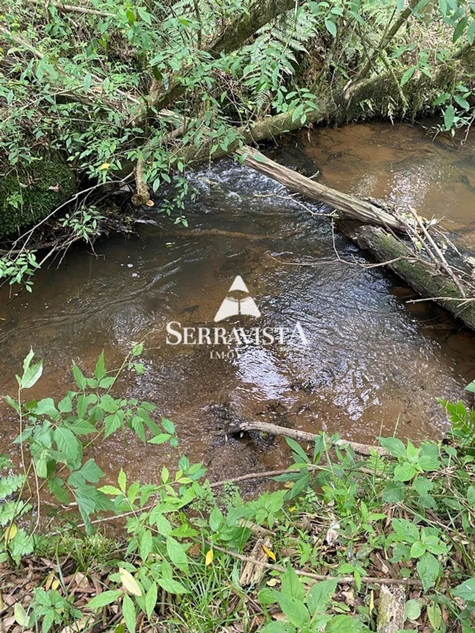 Chácara com lagoa em Campo Alegre - 20.000 m2 - Foto 13