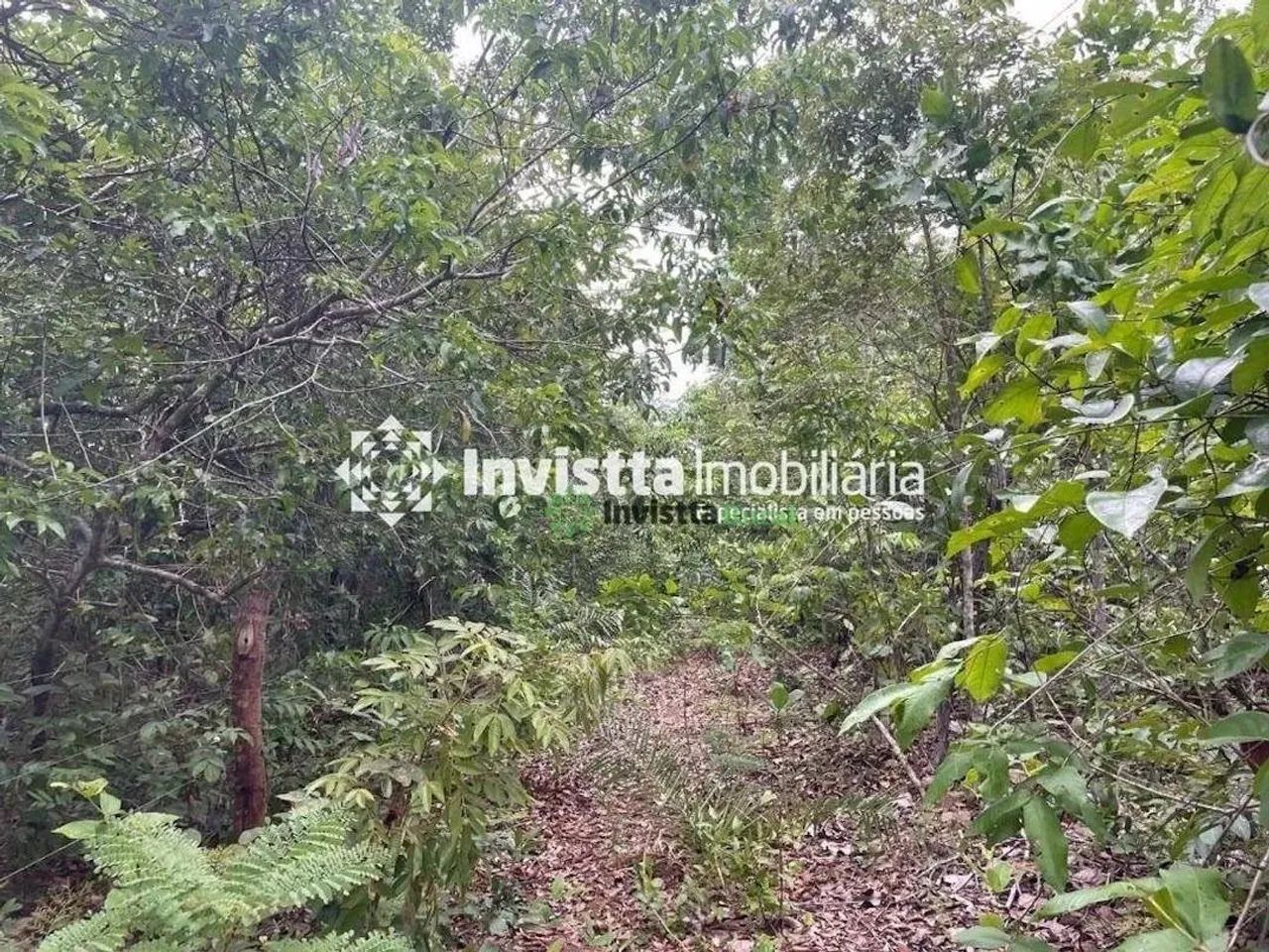 Fazenda de 58 alqueires em estágio de abertura no Tocantins