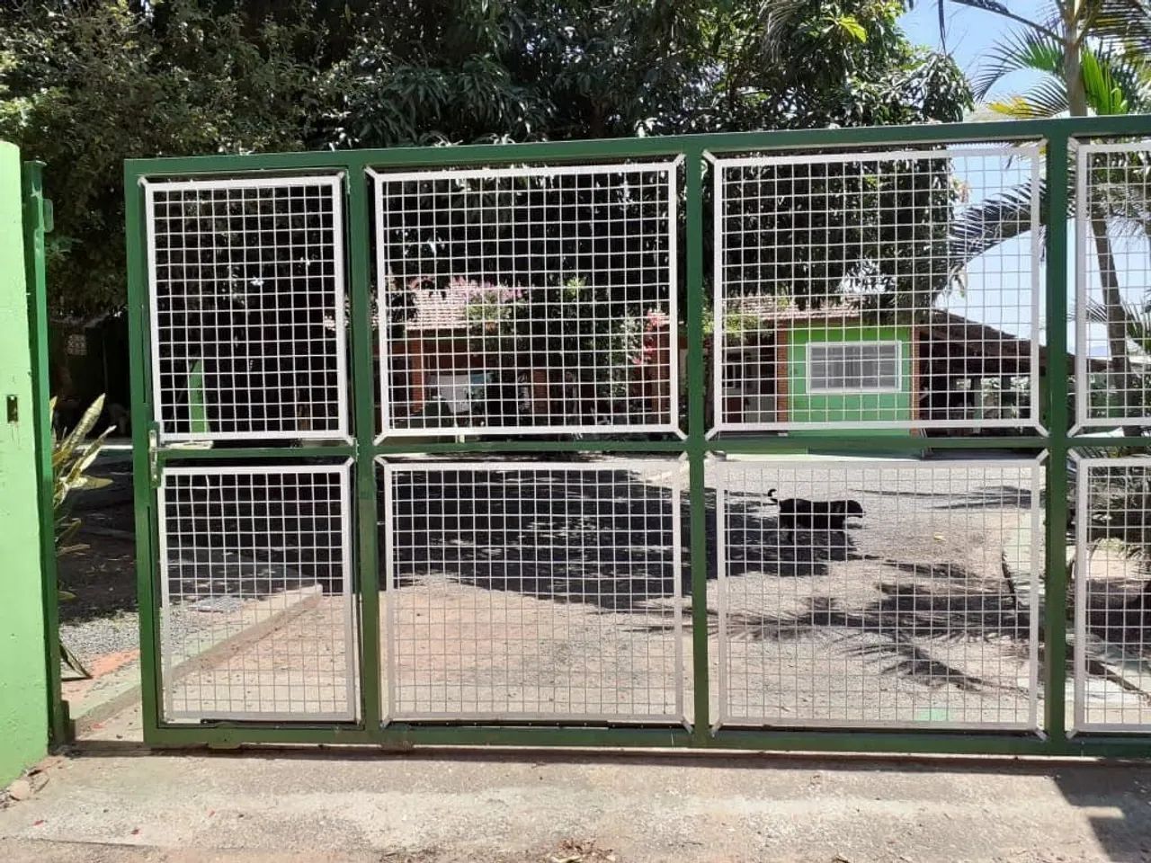 Chácara em Paraizolandia - Charqueada - Foto 3