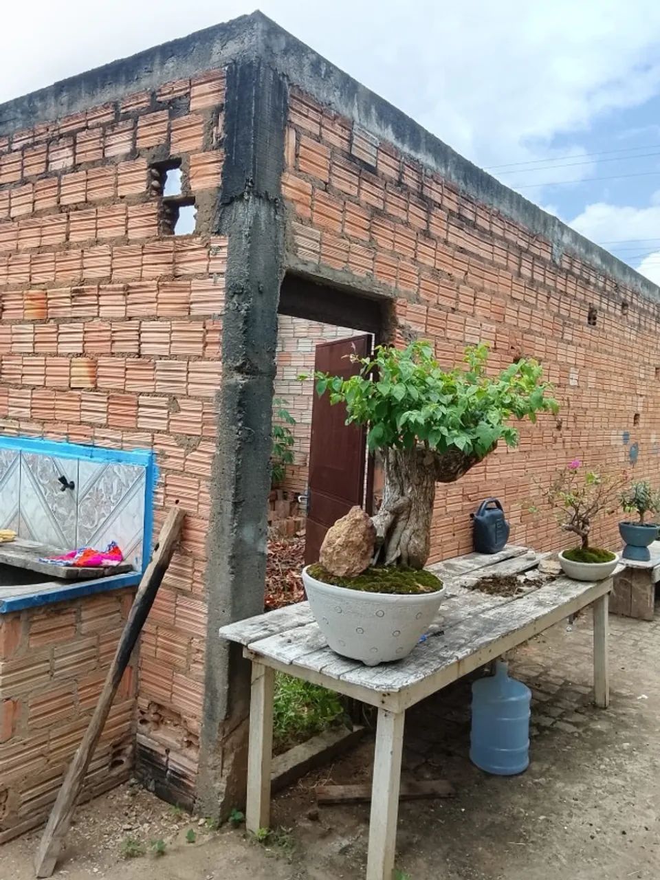 Apartamentos  - Foto 4