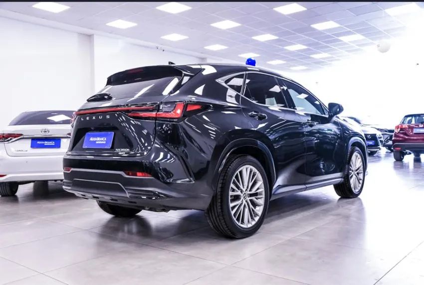 Lexus NX-350h Luxury 2.5 16V Aut. (hybrid), foto 10 de 19
