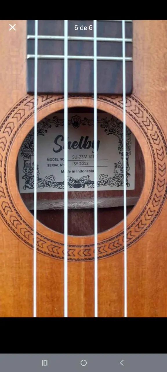 Ukulele Consert - Foto 5