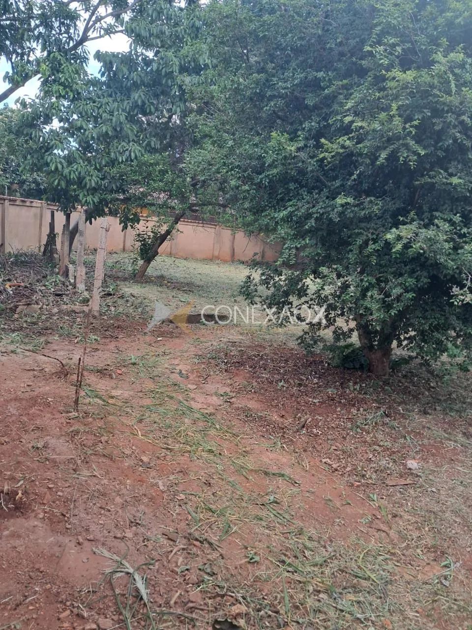 terreno - Cidade Universitária - Campinas - Foto 2
