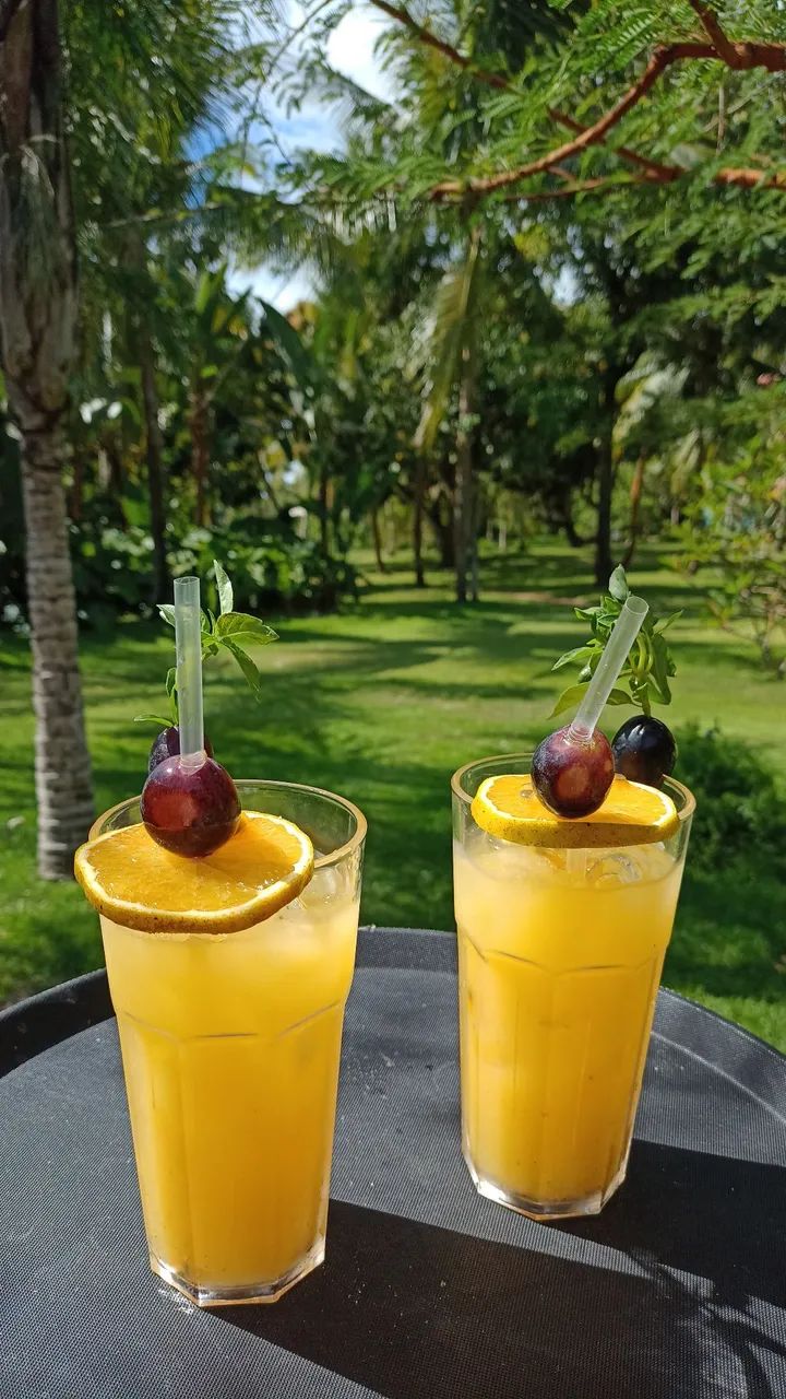 Ofereço serviço de garçom e barman  - Foto 2