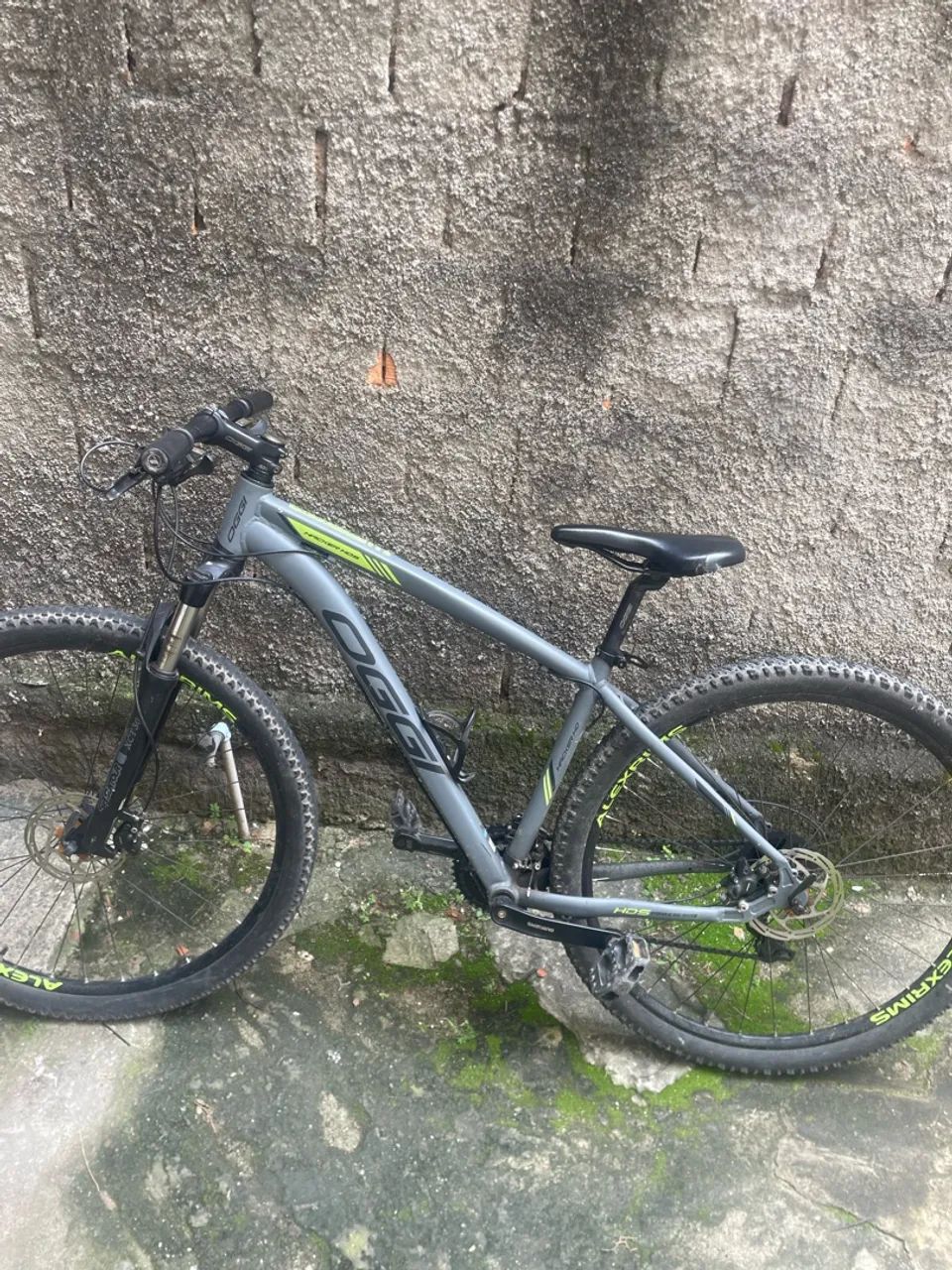 Oggi aro 29