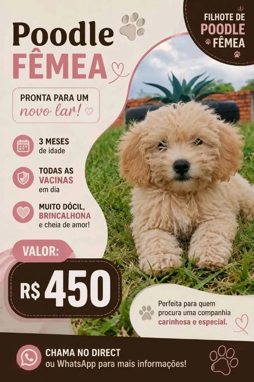Cachorro 