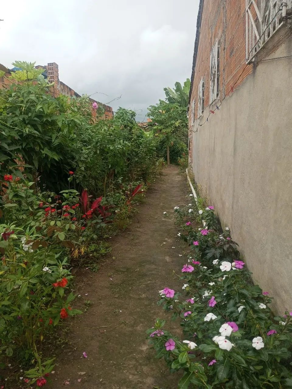 Casa em campo do Brito  - Foto 3