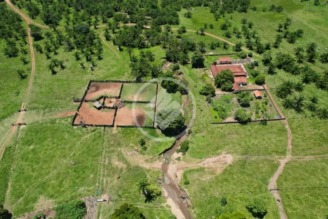 Fazenda à Venda em Jussara-GO codigo: 332899 - Foto 5