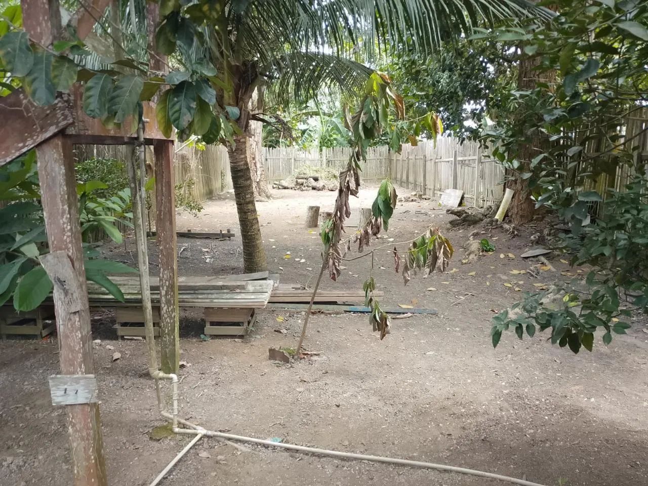 TERRENO COM CASA 