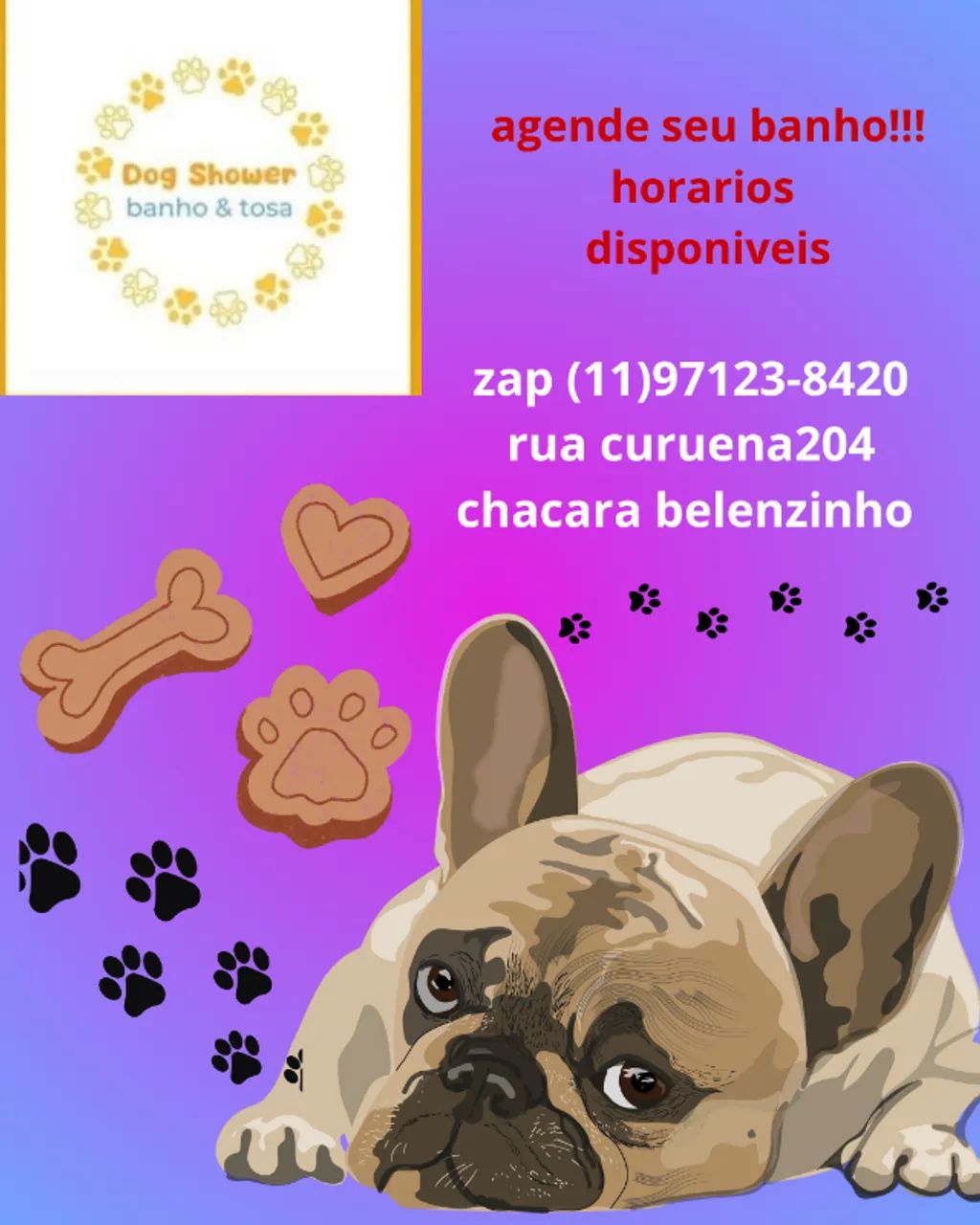 Cachorro