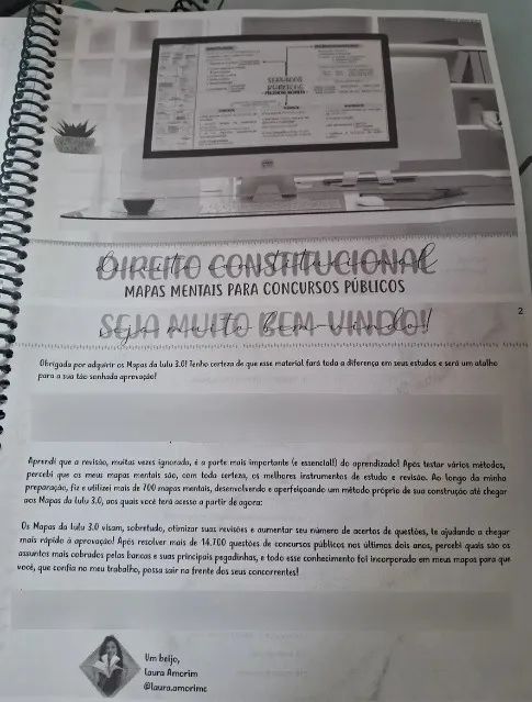 Mapas da Lulu - Direito Constitucional e Direito Administrativo - Foto 3