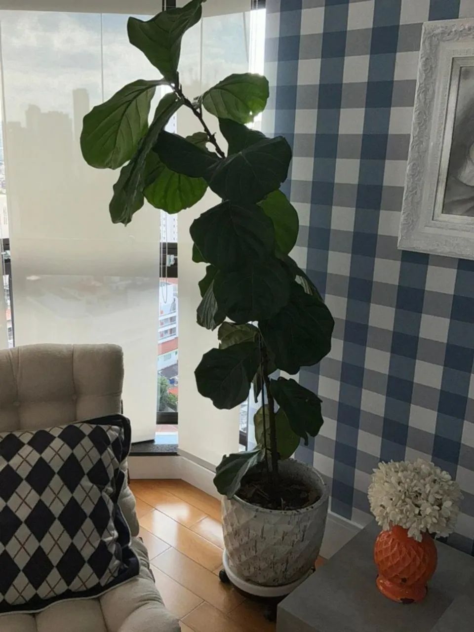 Planta com Vaso e Suporte
