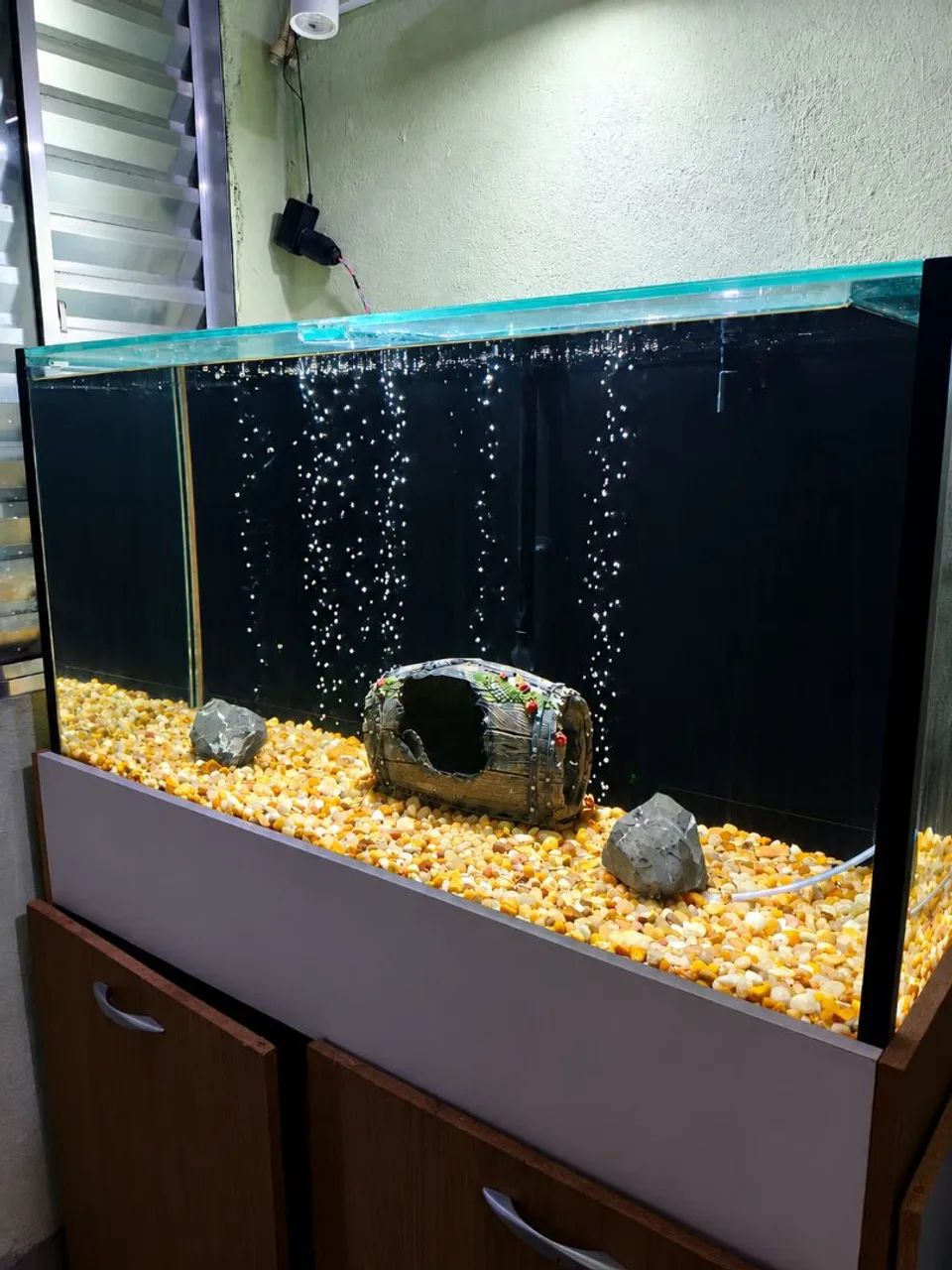 Aquário.