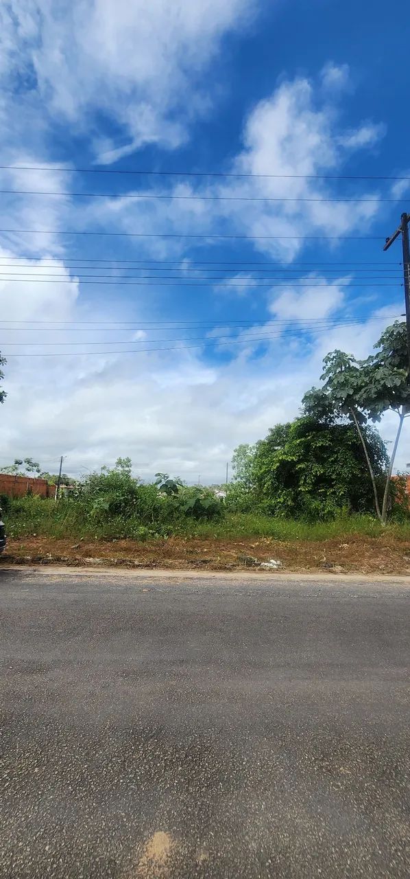 Lote Terra Nova Solaris - Foto 4