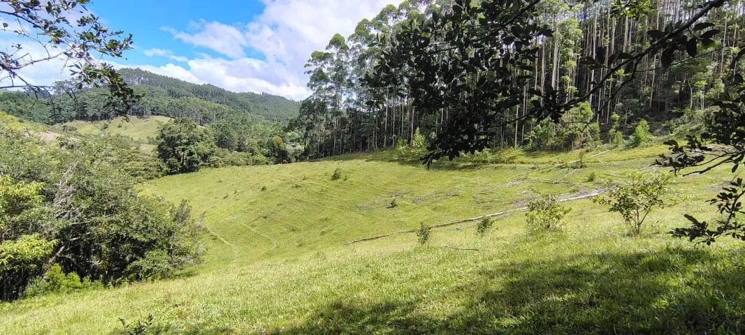 Foto - Anitápolis - 