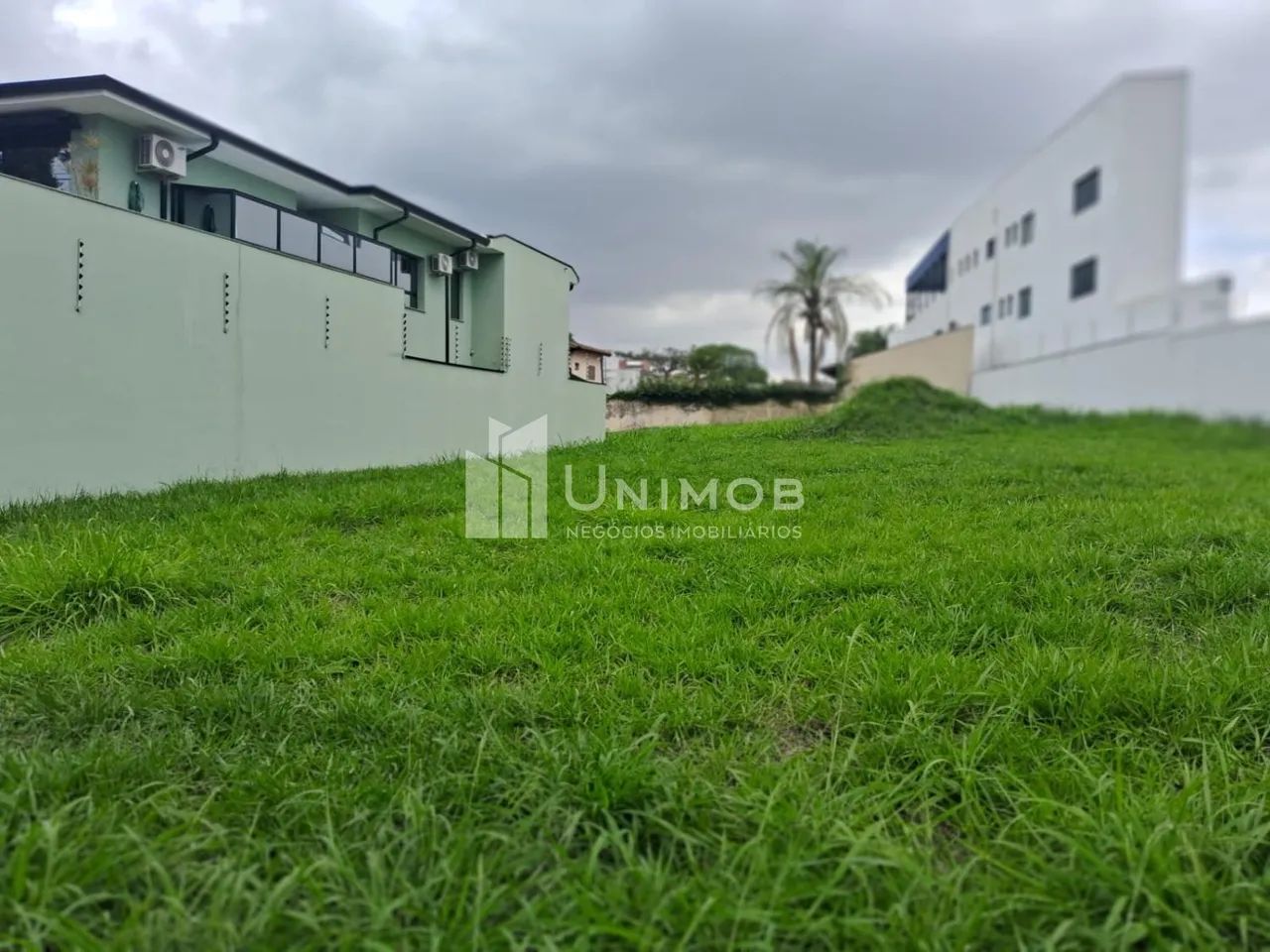 terreno - Nova Campinas - Campinas - Foto 3