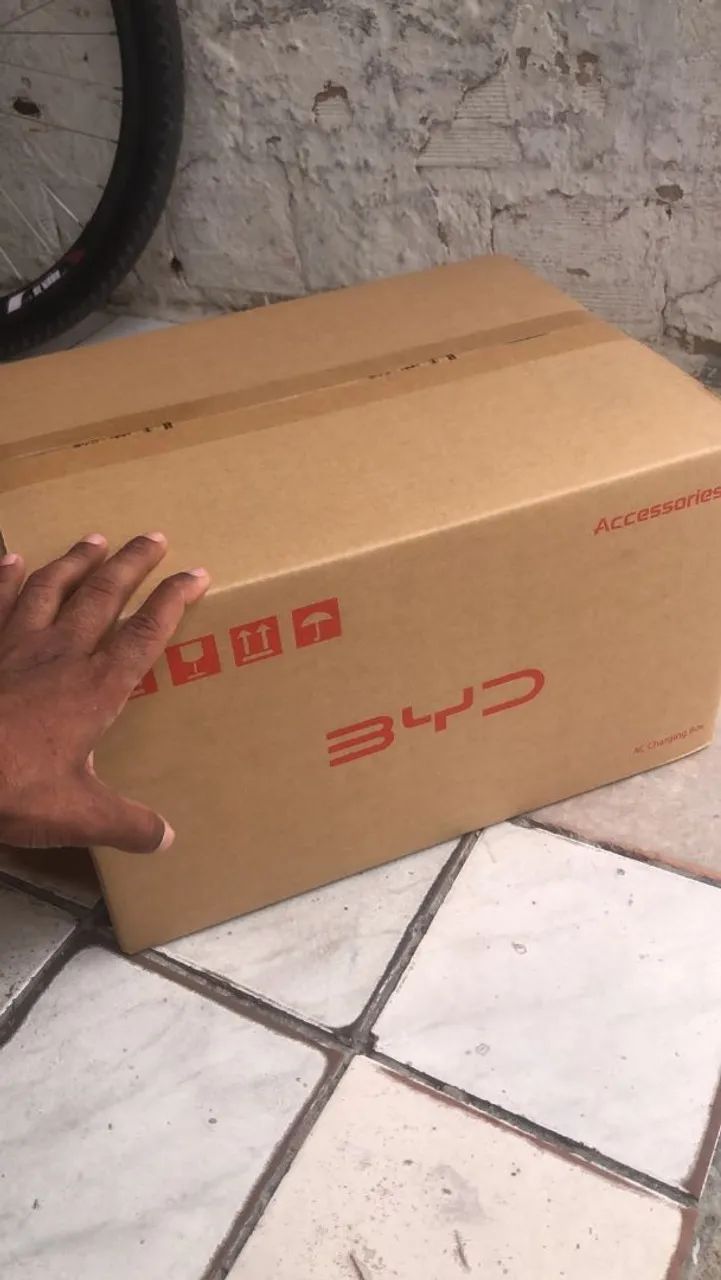 Carregador BYD 