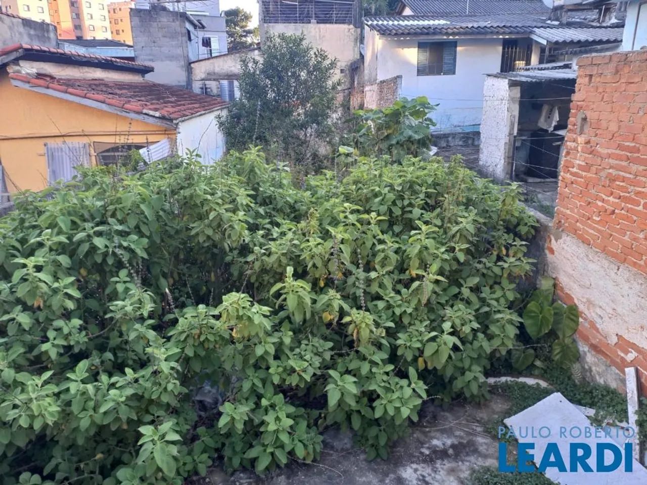 TERRENO - VILA ELDÍZIA - SP - Foto 3