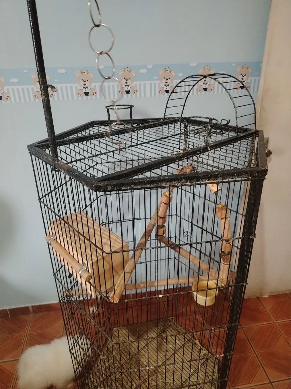 Viveiro pra aves - Foto 2