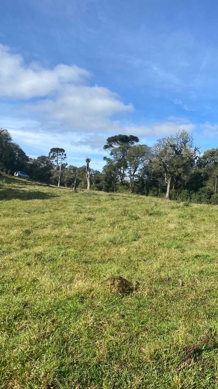 sitio a venda em Urupema - Foto 2