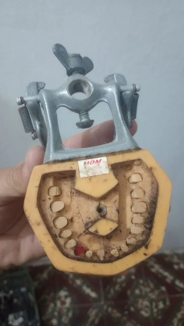 Modelo odontológico  - Foto 2