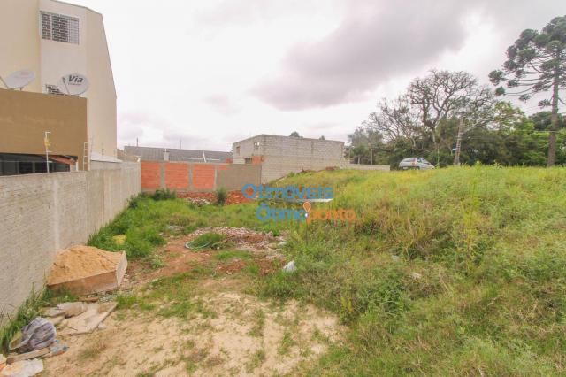 Terreno para alugar, 124 m² por r$ 1.000,00/mês - vista alegre - curitiba/pr - Foto 3