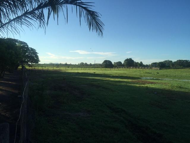 Fazenda no Pantanal MS 1826 hectares - Foto 2