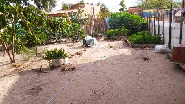 Terreno - Foto 2