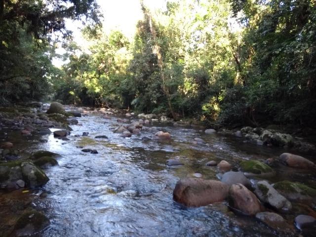 Terreno medindo 17 mil metros passando rio dentro e córrego - Foto 11
