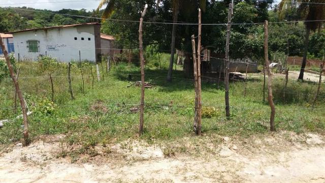 Terreno em Itamaracá - Foto 6