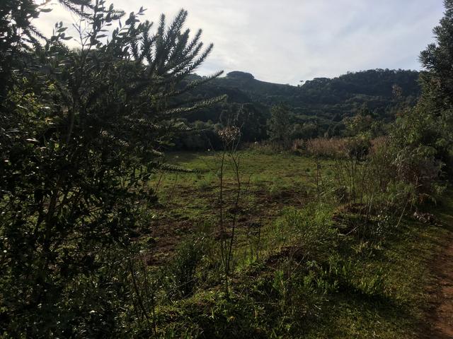 Terreno rural - Foto 4