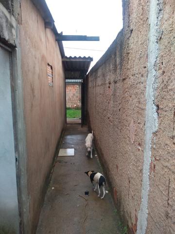Lote com barracos