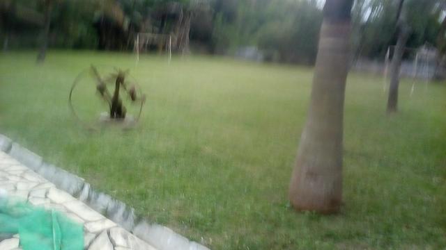 Granja para temporada e eventos - Foto 3