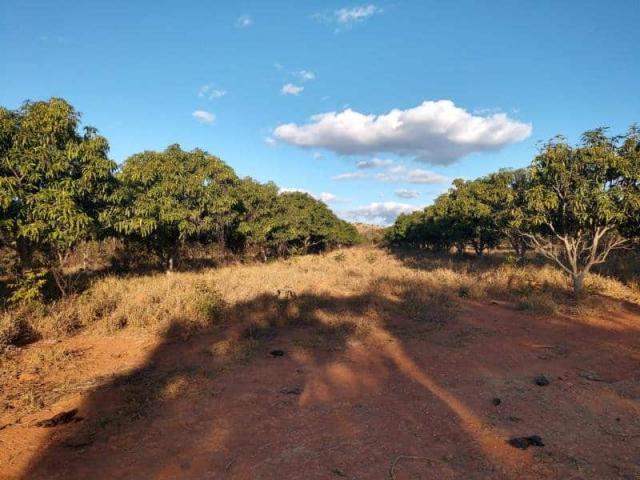 Fazenda - TAV60 - Foto 8