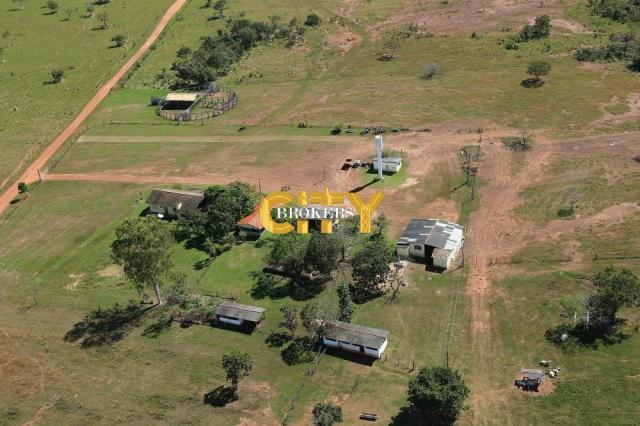 Fazenda na região rosário oeste - Foto 10