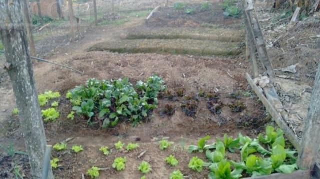 Chácara à venda em Freitas, São josé dos campos cod:CH0020 - Foto 8
