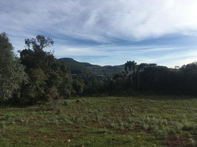 Terreno rural - Foto 9