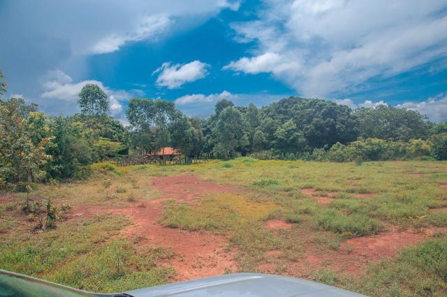 Fazenda para agricultura e pecuária - Foto 2