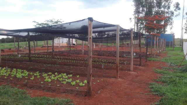 Venda ou Parceria em Horta Orgânica - Foto 2