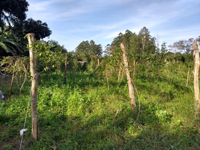 Área com 30 hectares com 600 metros de rio - Foto 8