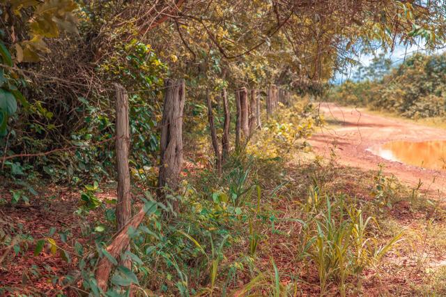 Fazenda para agricultura e pecuária - Foto 7