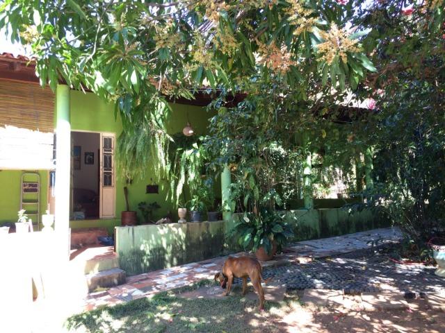 Chácara para venda em Formosa-GO - Foto 7