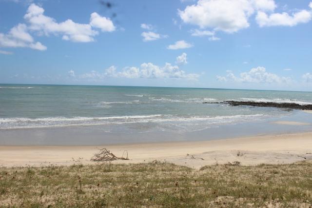 Excelente terreno beira mar na praia de Monte Alegre - TE0019