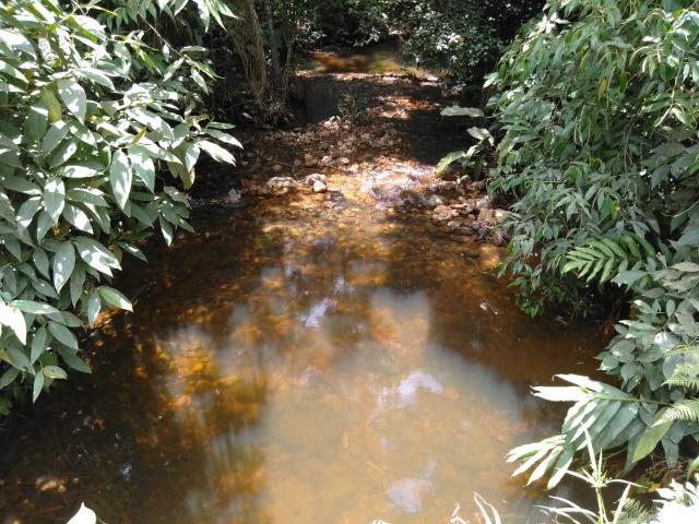 Chácara - América de Baixo - Morretes - Foto 8