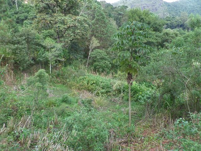 064 - Área de Terras nas Montanhas - Teresópolis - R.J - Foto 4