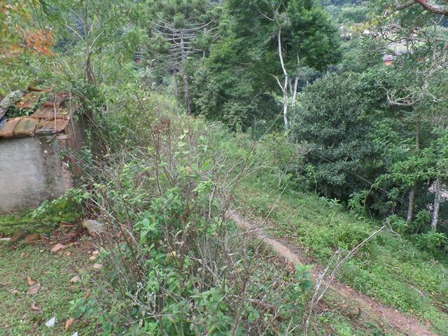 064 - Área de Terras nas Montanhas - Teresópolis - R.J - Foto 16