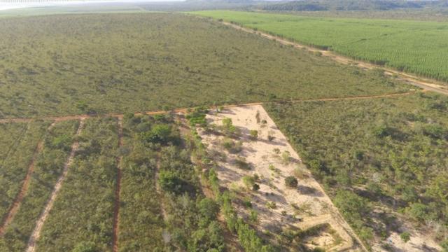 Chácara completa com 2 casas, piscina, pomar e ribeirão grande no fundo - Foto 9